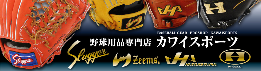 �J���C�X�|�[�c